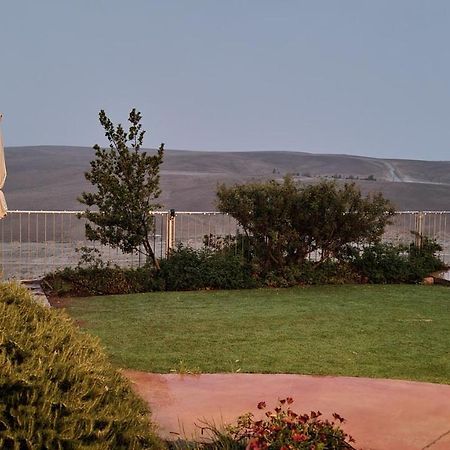 Desert Call Villa Arad Bagian luar foto